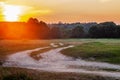 A dirt road at sunset, going into the forest on a summer evening. Summer forest landscape, trees, grass, greenery, illuminated by Royalty Free Stock Photo