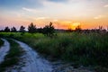 A dirt road at sunset, going into the forest on a summer evening. Summer forest landscape, trees, grass, greenery, illuminated by Royalty Free Stock Photo