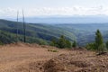 Dirt Road in Tanana Valley State Forest, Alaska Royalty Free Stock Photo