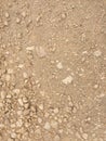 Dirt road texture. Royalty Free Stock Photo