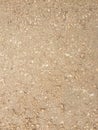 Dirt road texture. Royalty Free Stock Photo