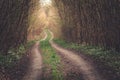 A dirt road through a thick and dark forest Royalty Free Stock Photo