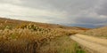 Dirt road thorugh the Andalusian countryside Royalty Free Stock Photo