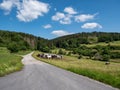 Dirt road in the Thuringian Forest with a cow pasture Royalty Free Stock Photo