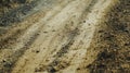 Dirt road with tire tracks and scattered rocks in rural setting Royalty Free Stock Photo