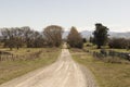 Dirt road to a farm in New Zealand Royalty Free Stock Photo