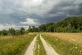 Dirt road to the forest and storm clouds Royalty Free Stock Photo