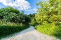 Dirt road to the forest. Walking tour. Wildlife. Areas outside the city. Royalty Free Stock Photo