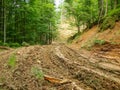 Dirt road to the logging site in a mountain Royalty Free Stock Photo