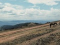 Dirt road at the top of the peak. Green summer mountain landscape. A horse tied in a meadow. Royalty Free Stock Photo