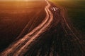 Dirt road with tractor tire track pattern in diminishing perspective, aerial view from drone pov