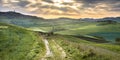 Dirt road in tranquil landscape Tuscany Royalty Free Stock Photo