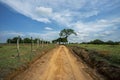 Dirt road and tree in the background.