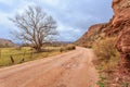 A dirt road with a tree in the middle of it Royalty Free Stock Photo