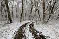 dirt road turn in winter forest Royalty Free Stock Photo