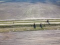 Dirt road between two plowed fields, aerial view. Agricultural land Royalty Free Stock Photo