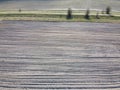 Dirt road between two plowed fields, aerial view. Agricultural land Royalty Free Stock Photo