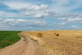 A dirt road between two rural fields. Agricultural field with wheat and beets. Hay bales in a field under a beautiful blue sky and Royalty Free Stock Photo