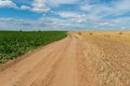 A dirt road between two rural fields. Agricultural field with wheat and beets. Hay bales in a field under a beautiful blue sky and Royalty Free Stock Photo