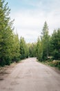 Dirt road in Uinta National Forest, Utah Royalty Free Stock Photo