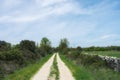 dirt road under a blue sky in the middle of a green field Royalty Free Stock Photo