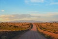 Dirt road vanishing into the distance towards the Santa Fe mountains over gently rolling hills through juniper pinion and cholla