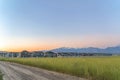 Dirt road and vast grassy field with houses and mountain background at sunset