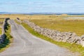 Dirt road with vegetation, dunes and farm field