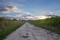 Dirt road west Royalty Free Stock Photo