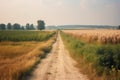 Dirt road through the wheat field in summer. Rural landscape. Generative AI