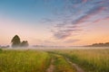 Dirt road wild meadow in morning fog. Rural summer landscape in sunrise Royalty Free Stock Photo