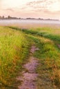 Dirt road on wild meadow in morning fog. Rural summer landscape Royalty Free Stock Photo