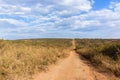 Dirt Road Wildlife Safari Landscape Royalty Free Stock Photo