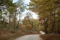 Dirt road winding through fall colored forest Royalty Free Stock Photo