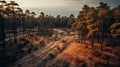 Moody Aerial Photo Of Pine Forest And Dirt Road At Sunset