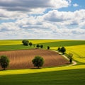 A dirt road winds through the landscape, lined with scattered Royalty Free Stock Photo