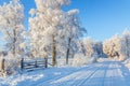 Dirt road in wintry idyllic landscape Royalty Free Stock Photo