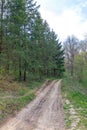 Dirt Road Woods Royalty Free Stock Photo