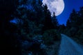 dirt road in the woods with super moon Royalty Free Stock Photo