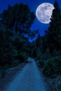 dirt road in the woods with super moon Royalty Free Stock Photo