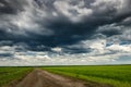 Dirt road through a young wheat field, dark sky Royalty Free Stock Photo