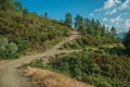 Dirt roads on hilly terrain covered by bushes and trees