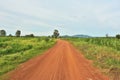 Dirt roads in rural Thailand With a tree in the background Royalty Free Stock Photo