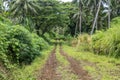 Dirt roadway in Fiji