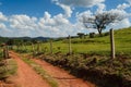 Dirt rural road Royalty Free Stock Photo