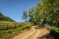 Dirt rural road Royalty Free Stock Photo