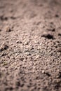 Dirt seamless texture soil land texture terra background Royalty Free Stock Photo