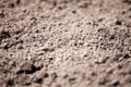 Dirt seamless texture soil land texture terra background Royalty Free Stock Photo