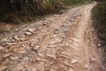 Dirt and stone road Royalty Free Stock Photo