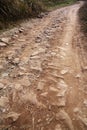 Dirt and stone road Royalty Free Stock Photo